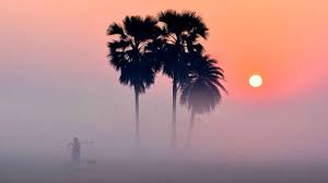 তাপমাত্রা ও কুয়াশা নিয়ে নতুন বার্তা দিলো আবহাওয়া অফিস